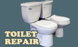 toilet repair service